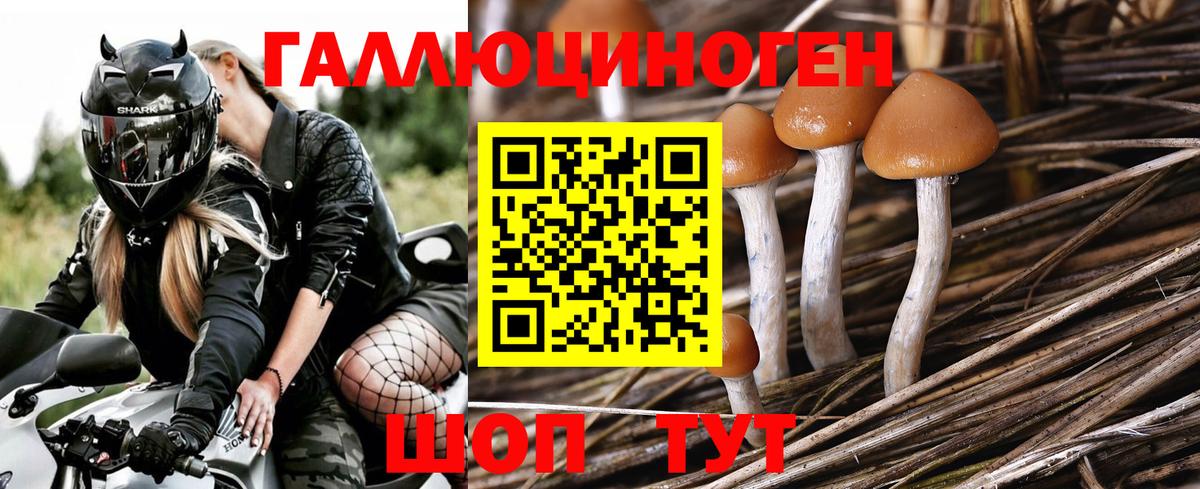 Псилоцибиновые грибы ЛСД Алатырь