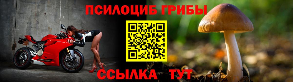 Галлюциногенные грибы ЛСД  Галлюциногенные грибы Cubensis  Алатырь  Вход с VPN 